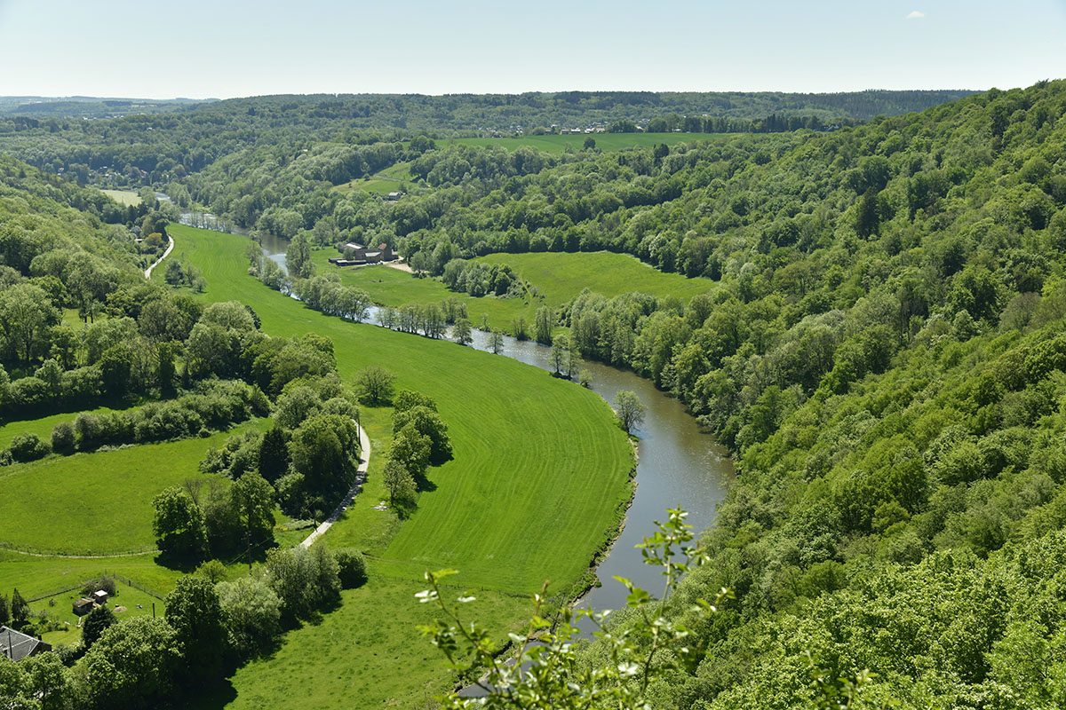 An expanse of green fields and hills covered in trees with a river flowing through the centre